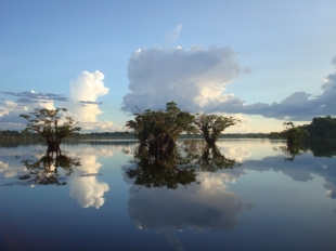 Imagen Laguna Cuyabeno